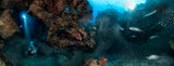 "The Grotto" 26X70      Exhibition Print Satin