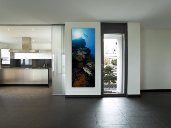 "Tiger Wall" 18x48 Exhibition Print