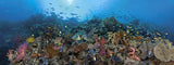 "Tubbataha Atoll" 18X48 Exhibition Print Satin