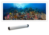 "Tubbataha Atolls"
