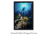 "Clownfish and Diver"