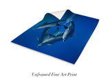 "Dolphin Reflections"
