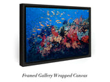 "Reef Beauty"