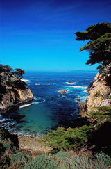 “Point Lobos"