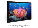 “Coral Reef Explosion"