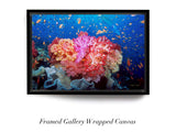 “Coral Reef Explosion"