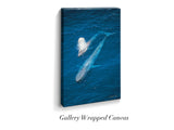 "Blue Whale and Calf"