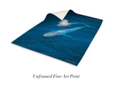 "Blue Whale and Calf"